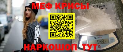 тгк Кингисепп