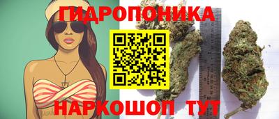 тгк Кингисепп