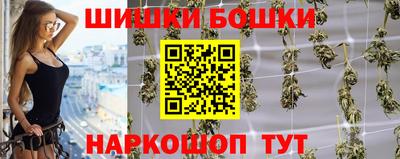 тгк Кингисепп
