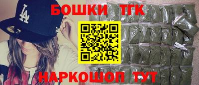 тгк Кингисепп