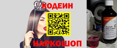 тгк Кингисепп