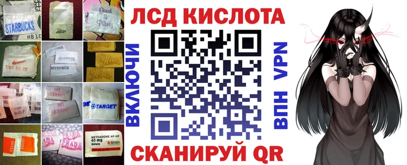 блэк спрут ONION  наркошоп  Курчалой  Лсд 25 экстази кислота 
