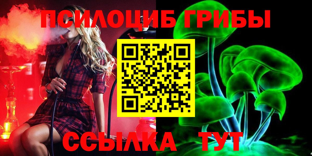 Курчалой  Галлюциногенные грибы GOLDEN TEACHER  Вход с VPN  Галлюциногенные грибы ЛСД 