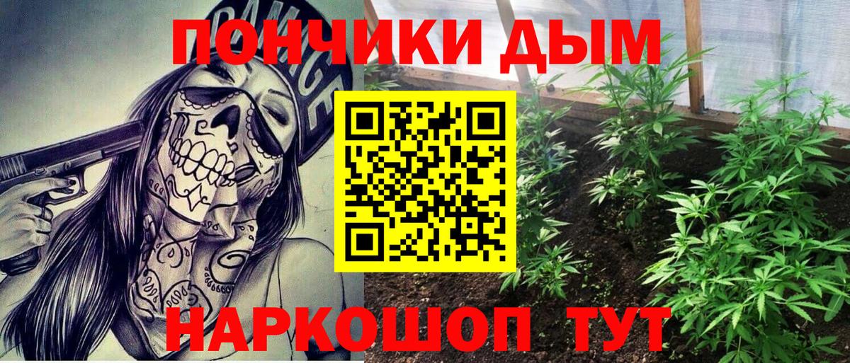 Каннабис Ganja  Бошки марихуана Ganja  Вход с VPN  Марихуана AK-47  Курчалой 